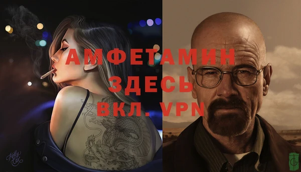 гидра Гусиноозёрск