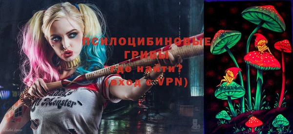 мет Гусев