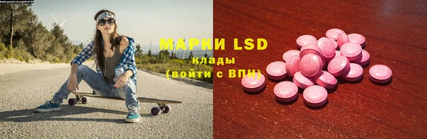 гидра Гусиноозёрск