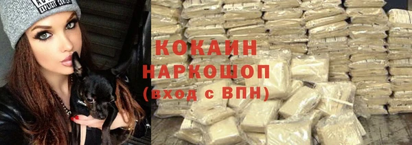 мет Гусев