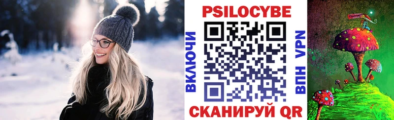 Купить закладки  Чистополь  Галлюциногенные грибы мухоморы 