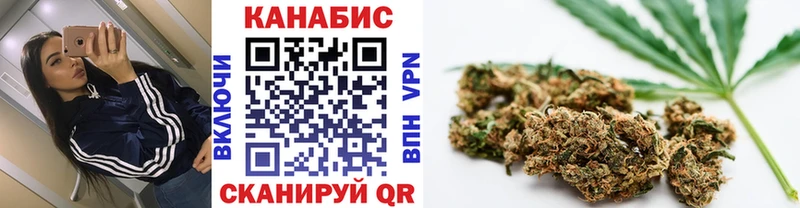 Конопля AK-47  Купить закладки  Чистополь 